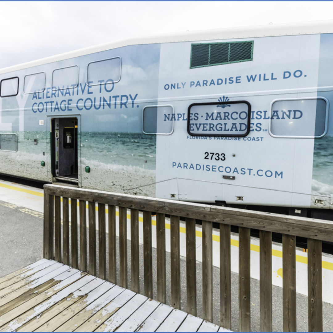 Paradise Coast- Wrapped Train
