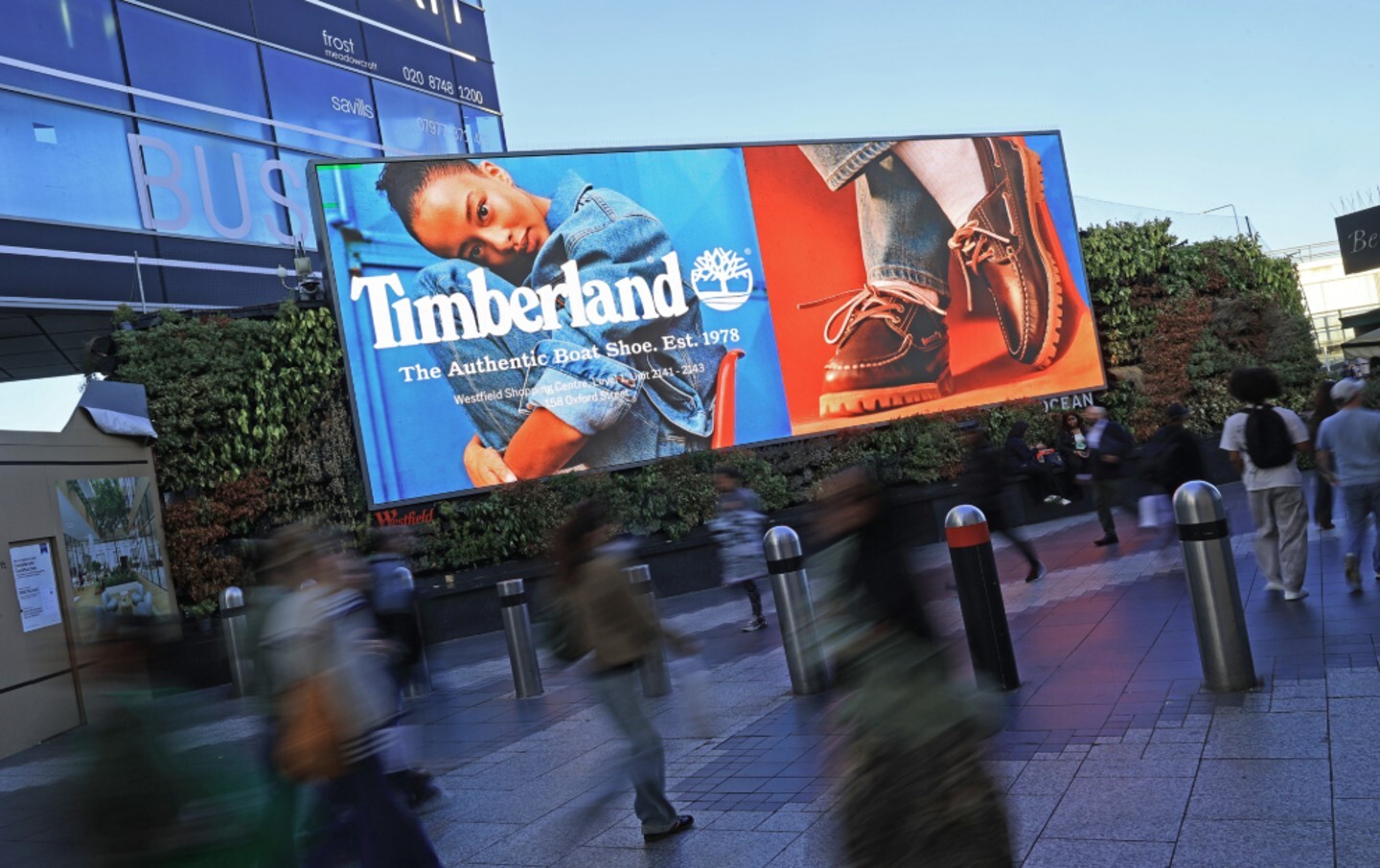 Timberland Image 1