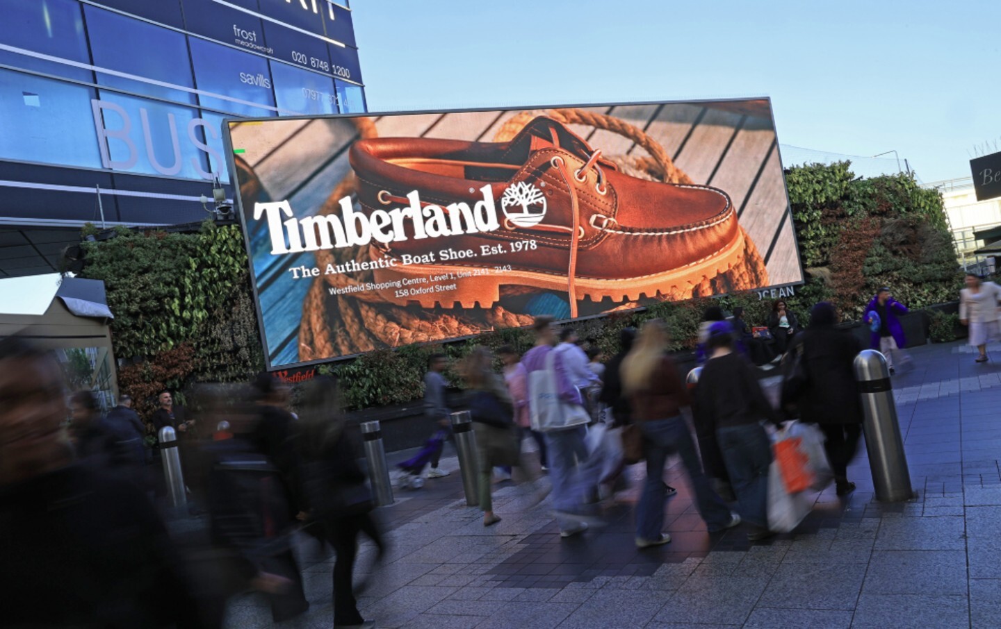 Timberland Image 2